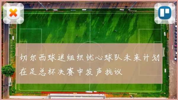 切尔西球迷组织忧心球队未来计划在足总杯决赛中发声抗议