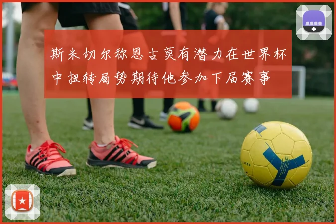 斯米切尔称恩古莫有潜力在世界杯中扭转局势期待他参加下届赛事