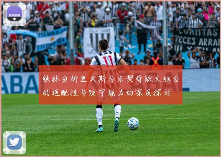 铁林分析里夫斯与东契奇欧文组合的适配性与防守能力的深度探讨